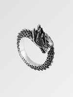 Load image into Gallery viewer, Dragon Silver Ring 'Chinese Carnival'