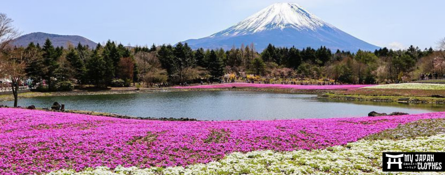 Everything you need to know about Mount Fuji