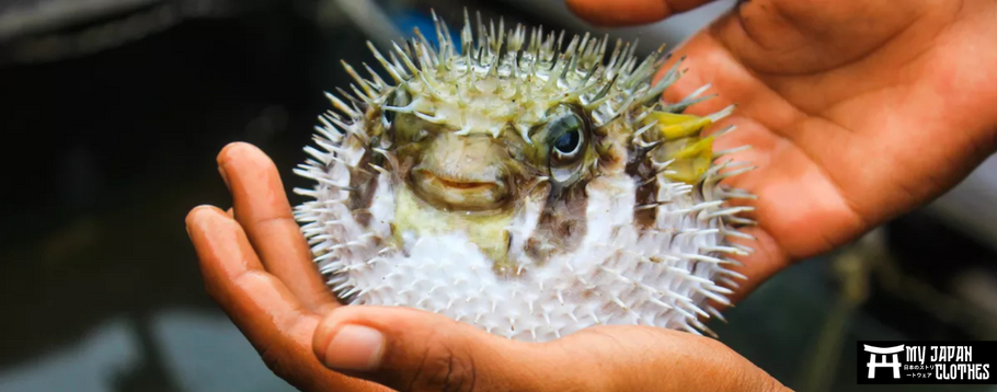 Everything you need to know about Fugu : The deadly Japanese fish