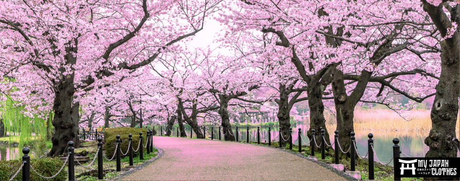 The best places to see cherry blossoms in Japan