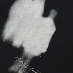 Load image into Gallery viewer, Trendy T-Shirt
